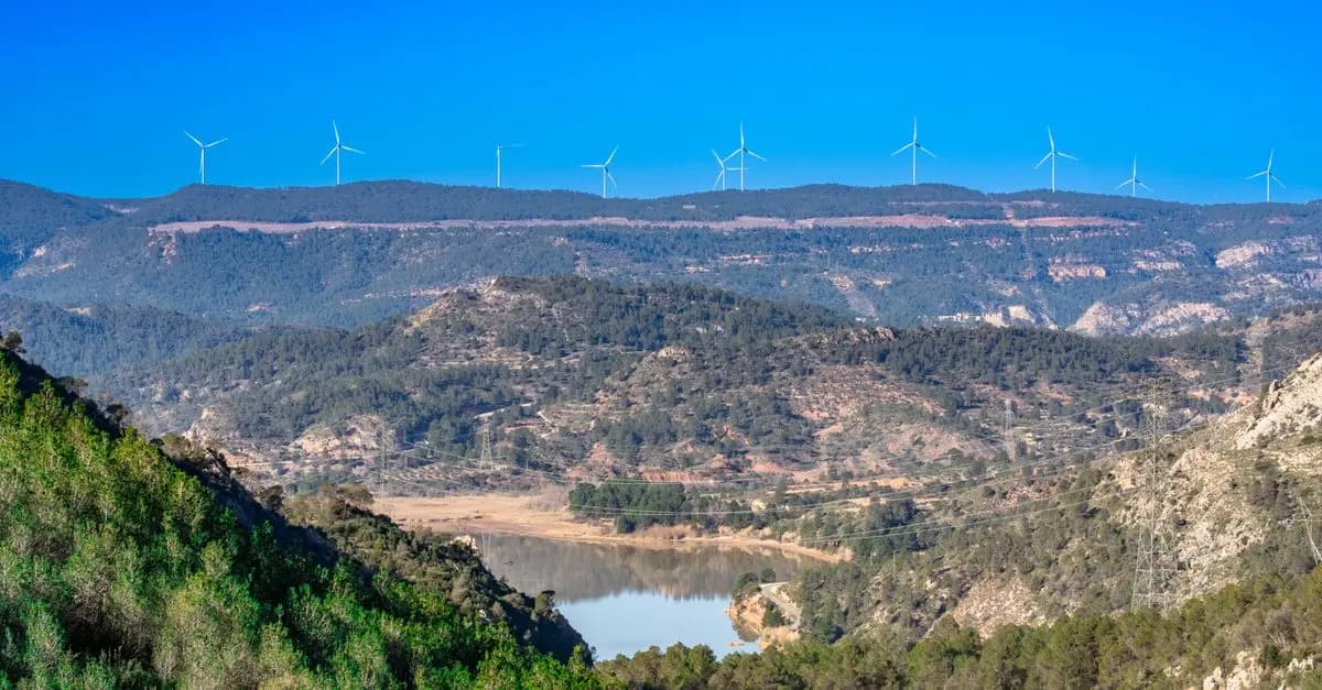 Todo lo que Debes Saber Sobre las Energías Renovables