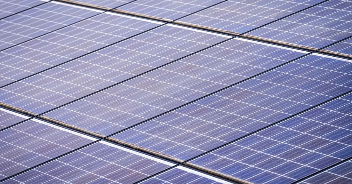 Paneles Solares vs. Baterías: ¿Cuál Es la Mejor Opción?