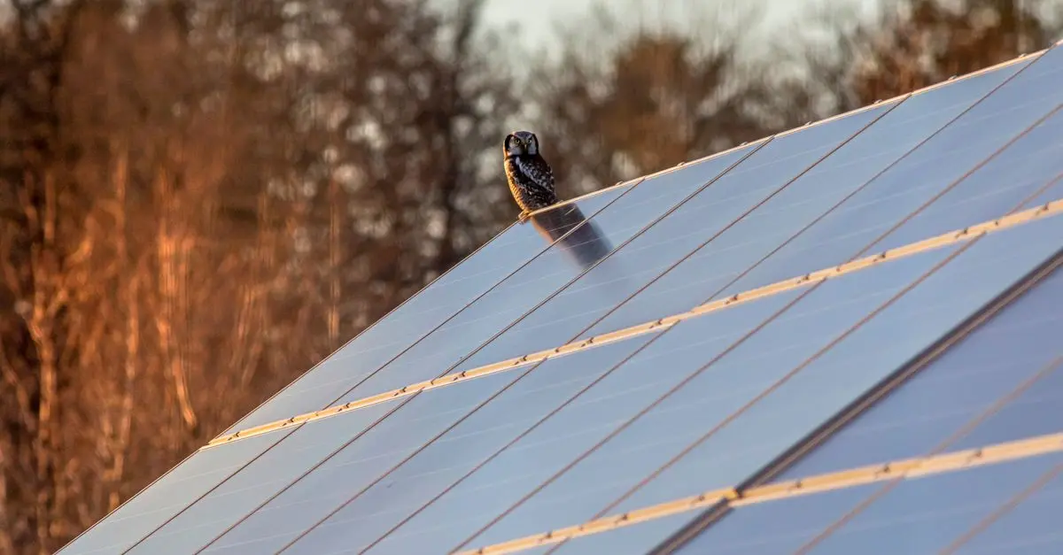 Recarga de Vehículos Eléctricos con Energía Solar