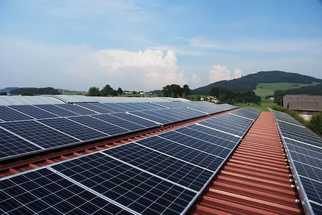 Cómo Elegir Paneles Solares Eficientes para Tu Hogar