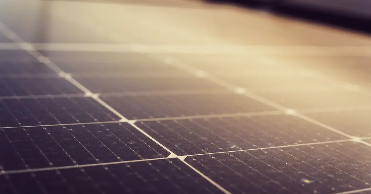 Cómo Elegir Paneles Solares Eficientes para Tu Hogar