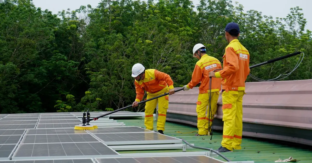 Cómo Mantener Tus Paneles Solares en Óptimas Condiciones