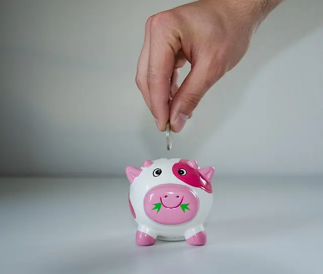 Cómo Maximizar el Ahorro con Energía Solar en Tu Hogar